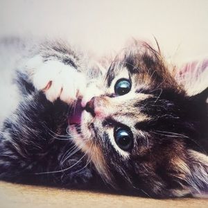 Meet your Posher, Mara